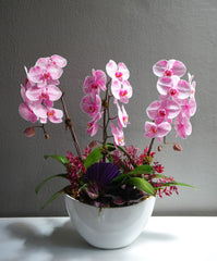 Pink Serenity