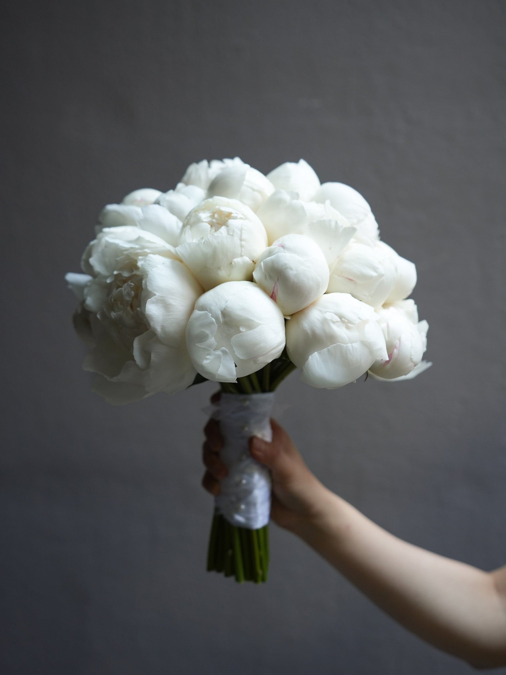 Snow Peony (Early Summer Season)