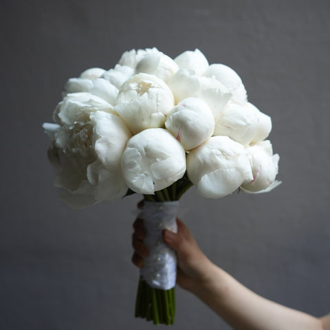 Snow Peony (Early Summer Season)