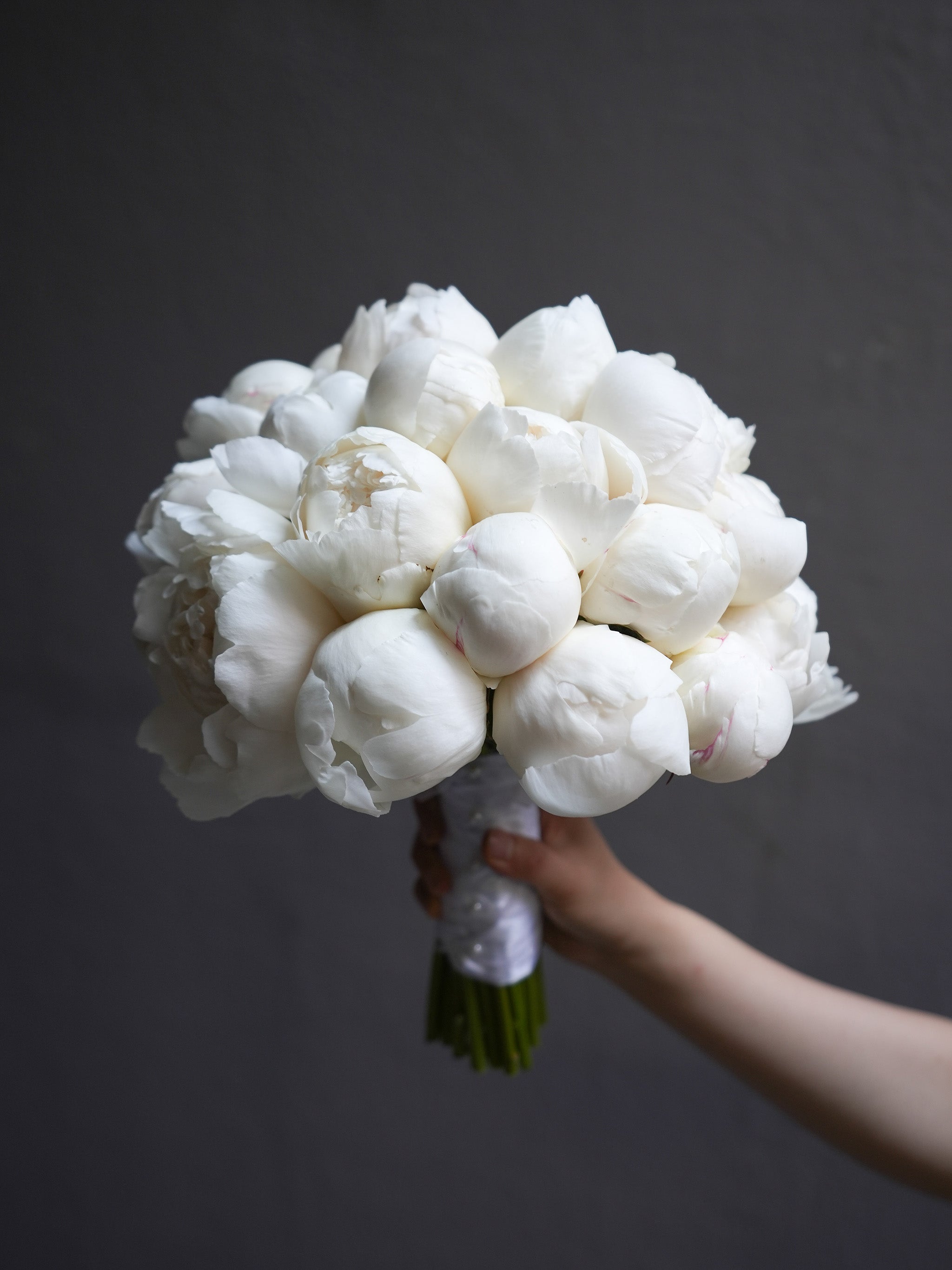 Snow Peony (Early Summer Season)