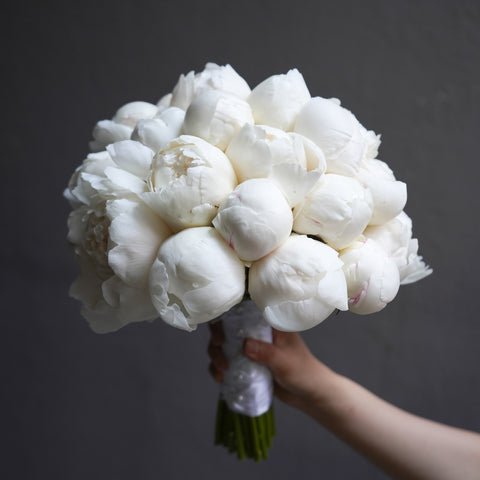 Snow Peony (Early Summer Season)