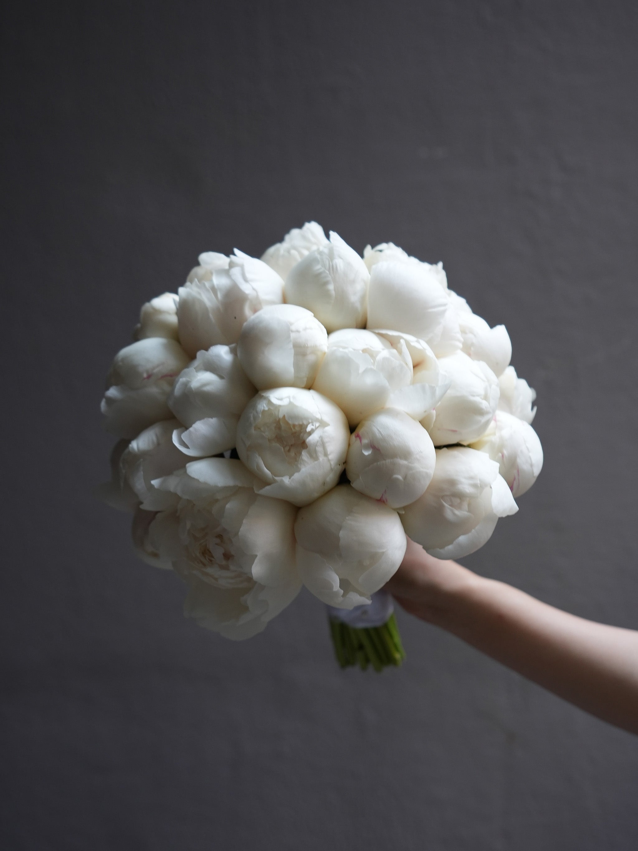 Snow Peony (Early Summer Season)