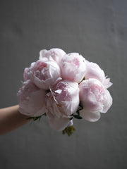 Pink Peony Bouquet