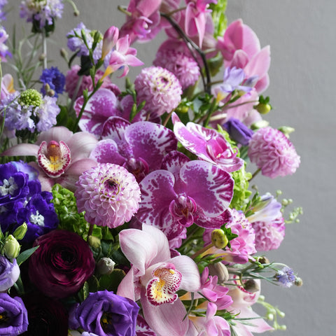 Color Bloom Luxe