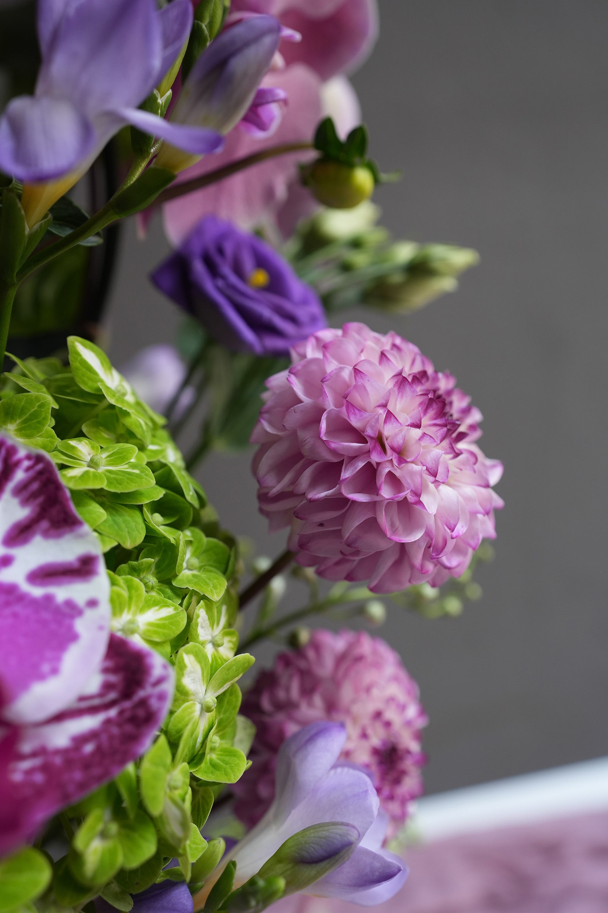 Color Bloom Luxe