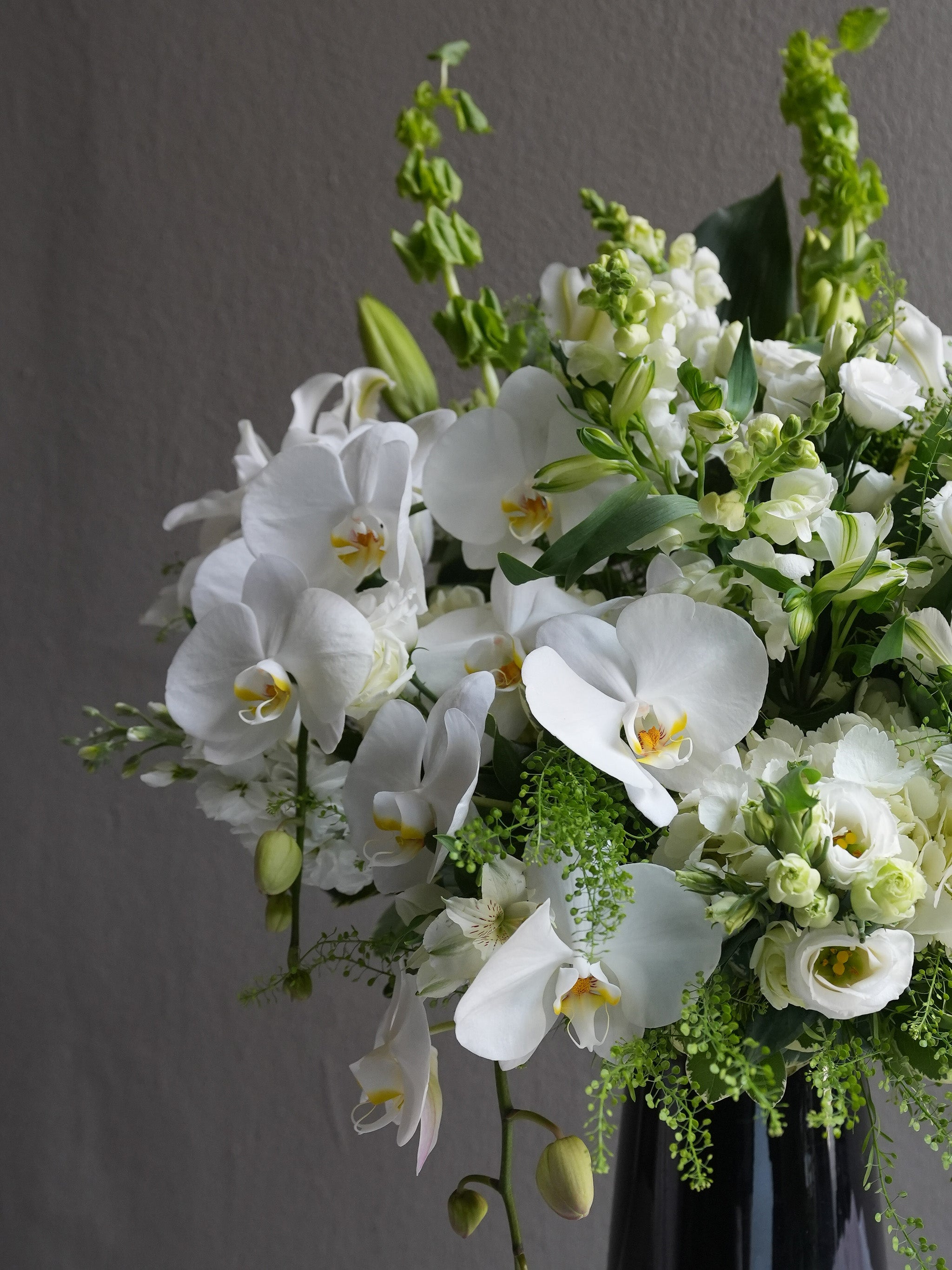Ivory Bloom