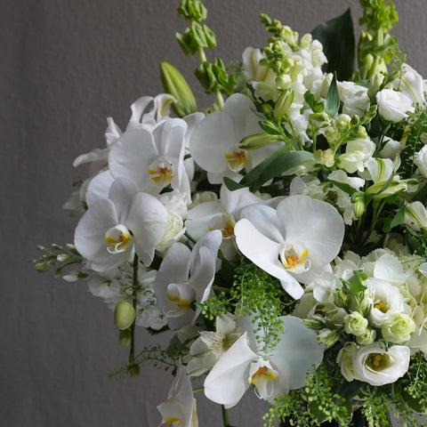 Ivory Bloom