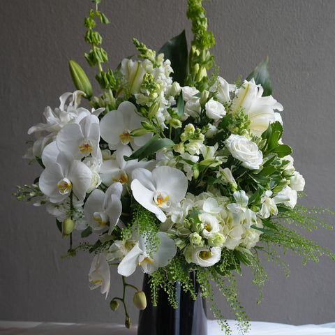 Ivory Bloom