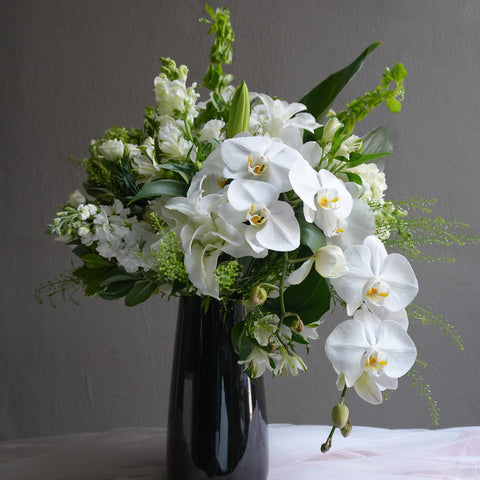 Ivory Bloom