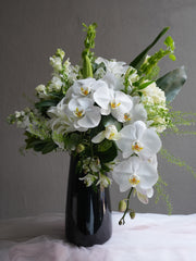 Ivory Bloom