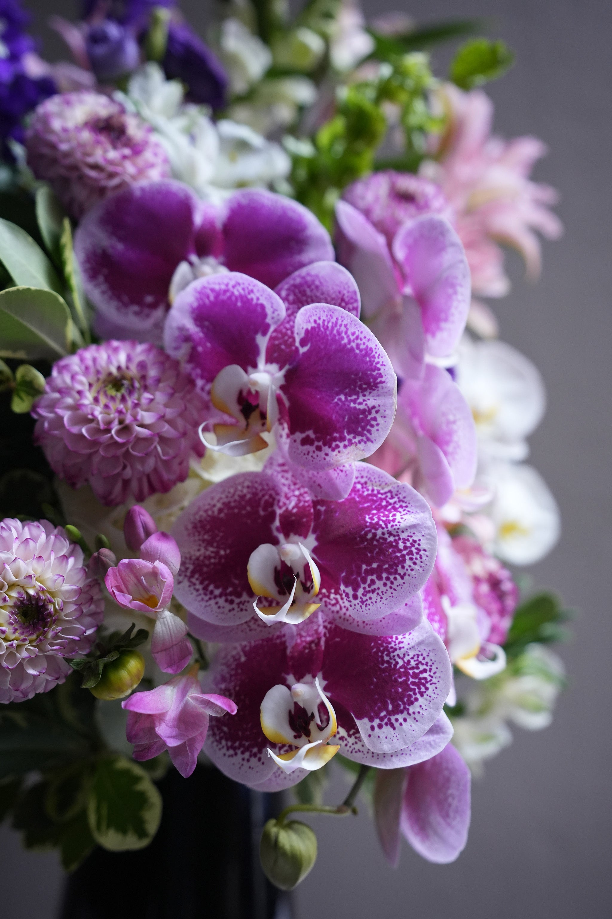 Bloom Royale