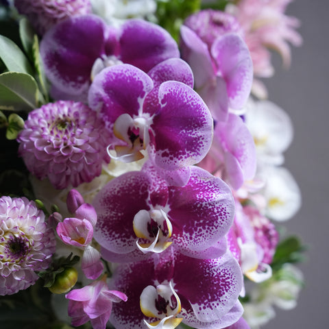 Bloom Royale
