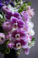 Bloom Royale