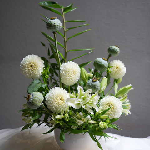 Botanical Mist