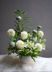 Botanical Mist