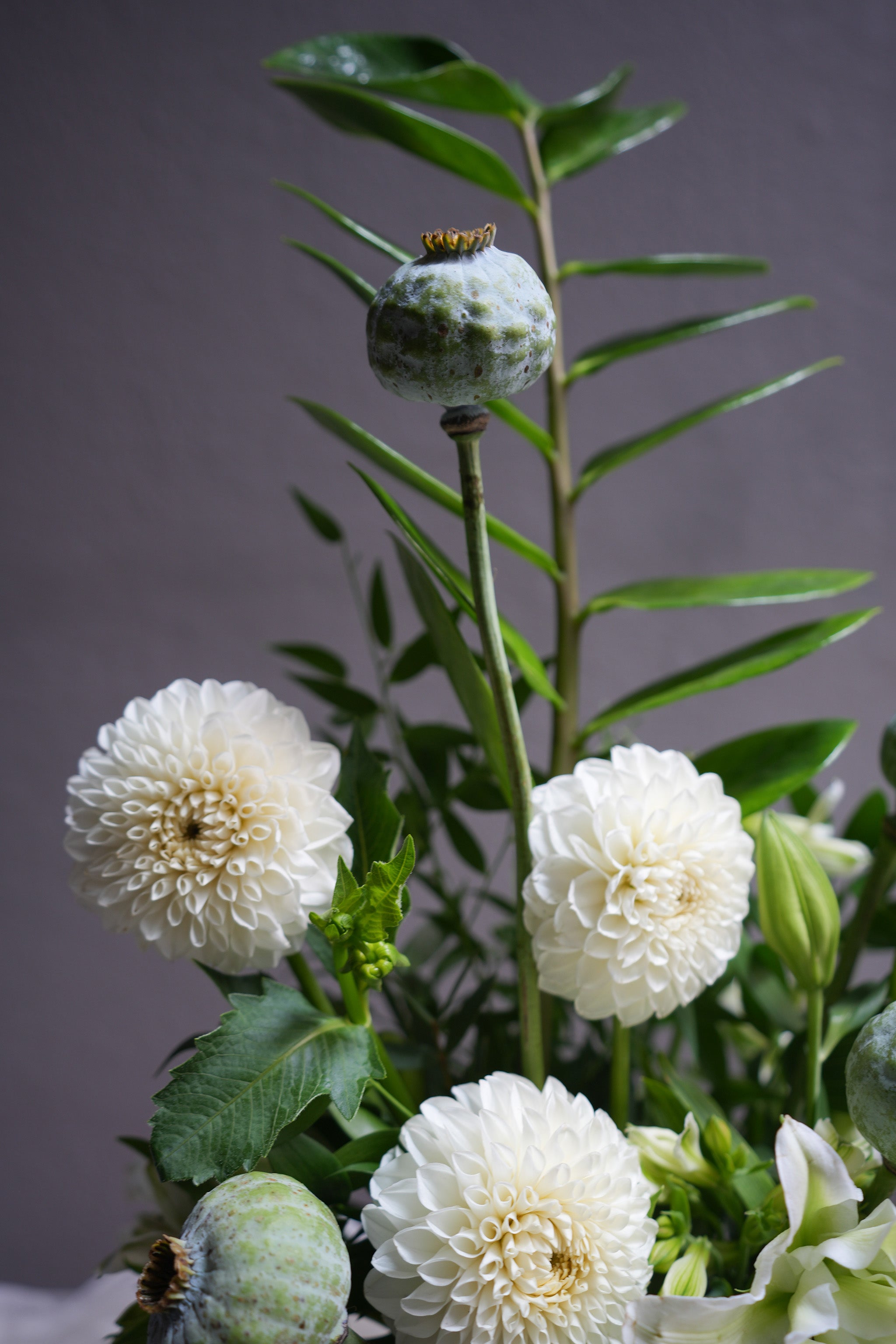 Botanical Mist
