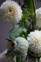 Botanical Mist