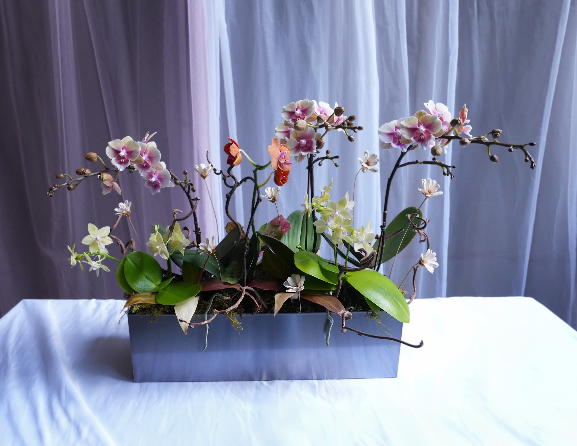 Autumn Orchid Arrangement
