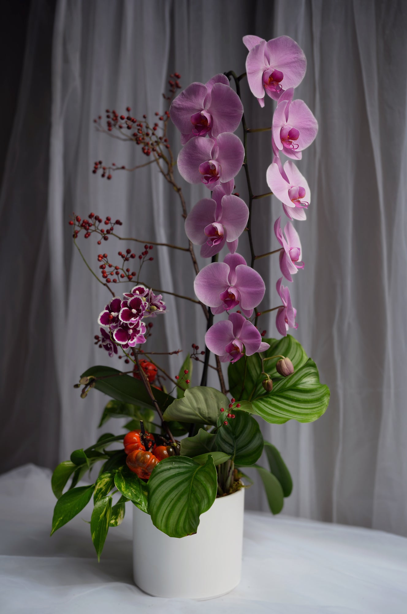 Orchid Berry Silhouette