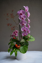 Orchid Berry Silhouette