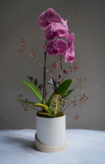 Tranquility Deep Orchid Arrangement