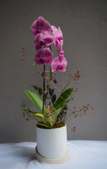 Tranquility Deep Orchid Arrangement