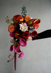 A Flame in Violet