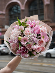 [10%MD] Spring Celebration