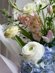 Blue White Spring