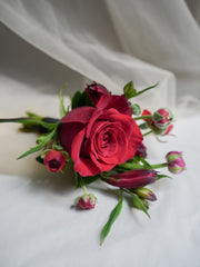 Romantic Corsage  & boutonniere