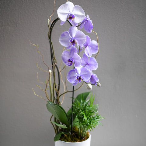 Soft Purple Orchid Arrangement
