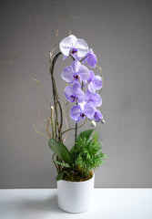 Soft Purple Orchid Arrangement