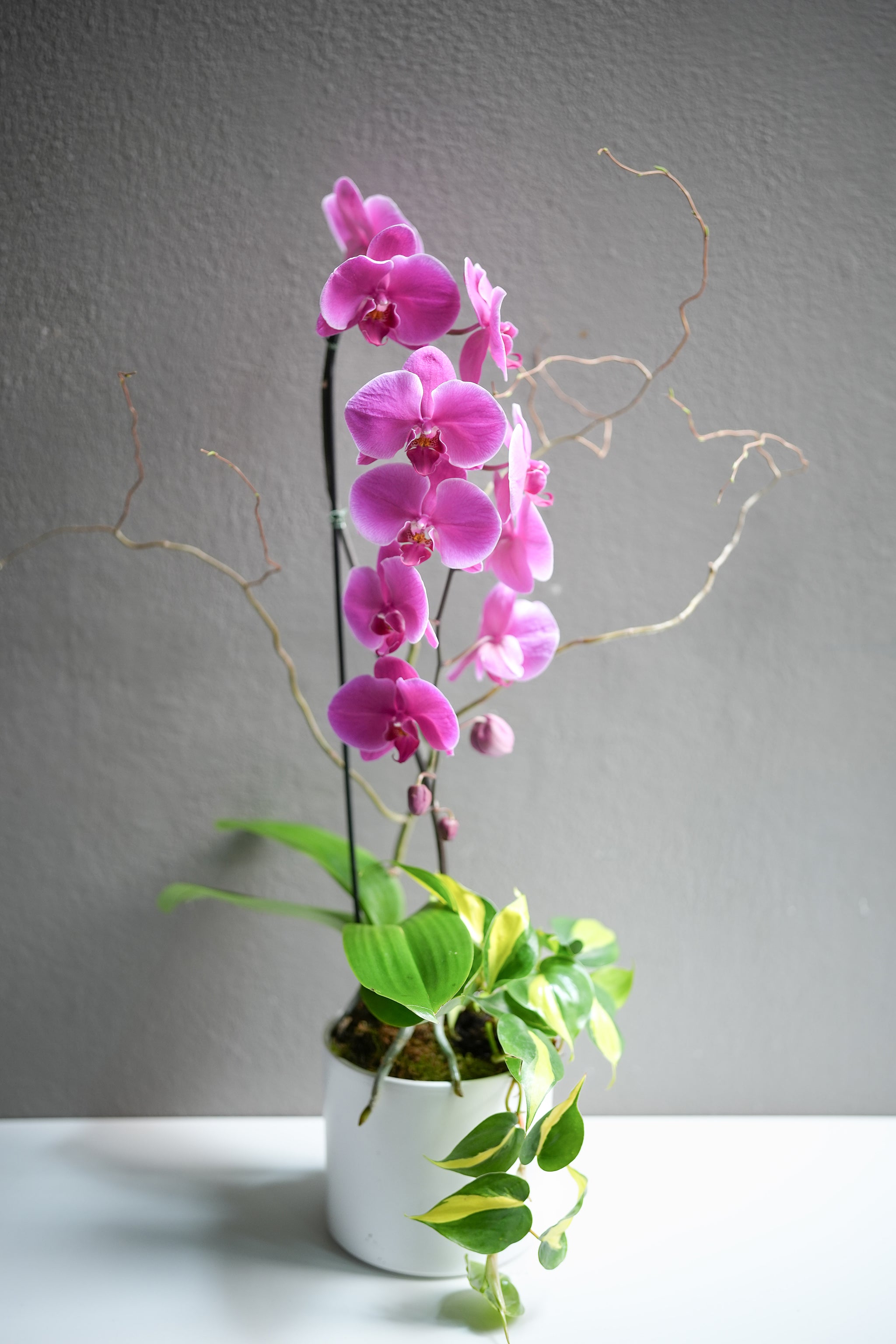 Hot Pink Orchid Arrangement