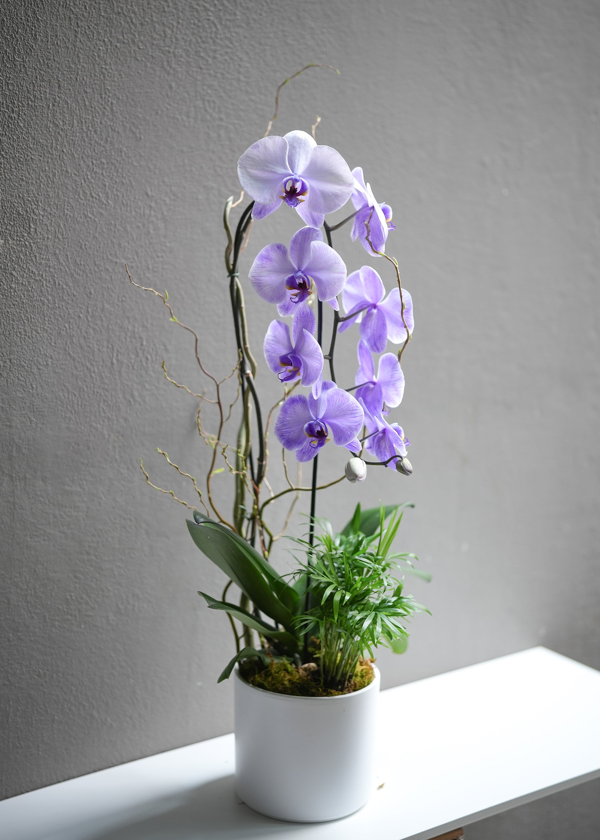 Soft Purple Orchid Arrangement