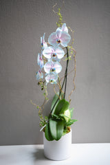 Dyed Blue Orchid Arrangement