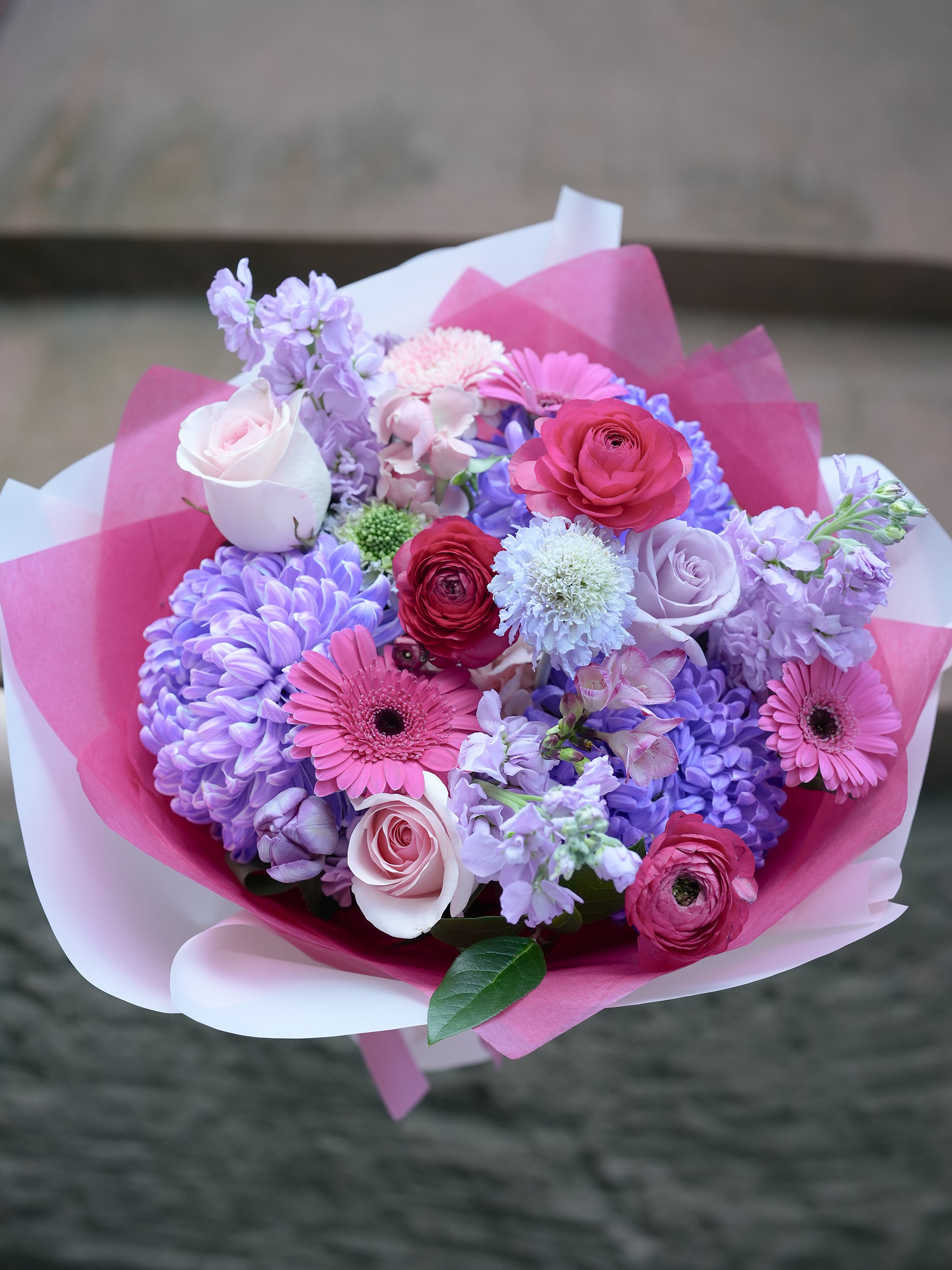 Vivid Berry Bloom