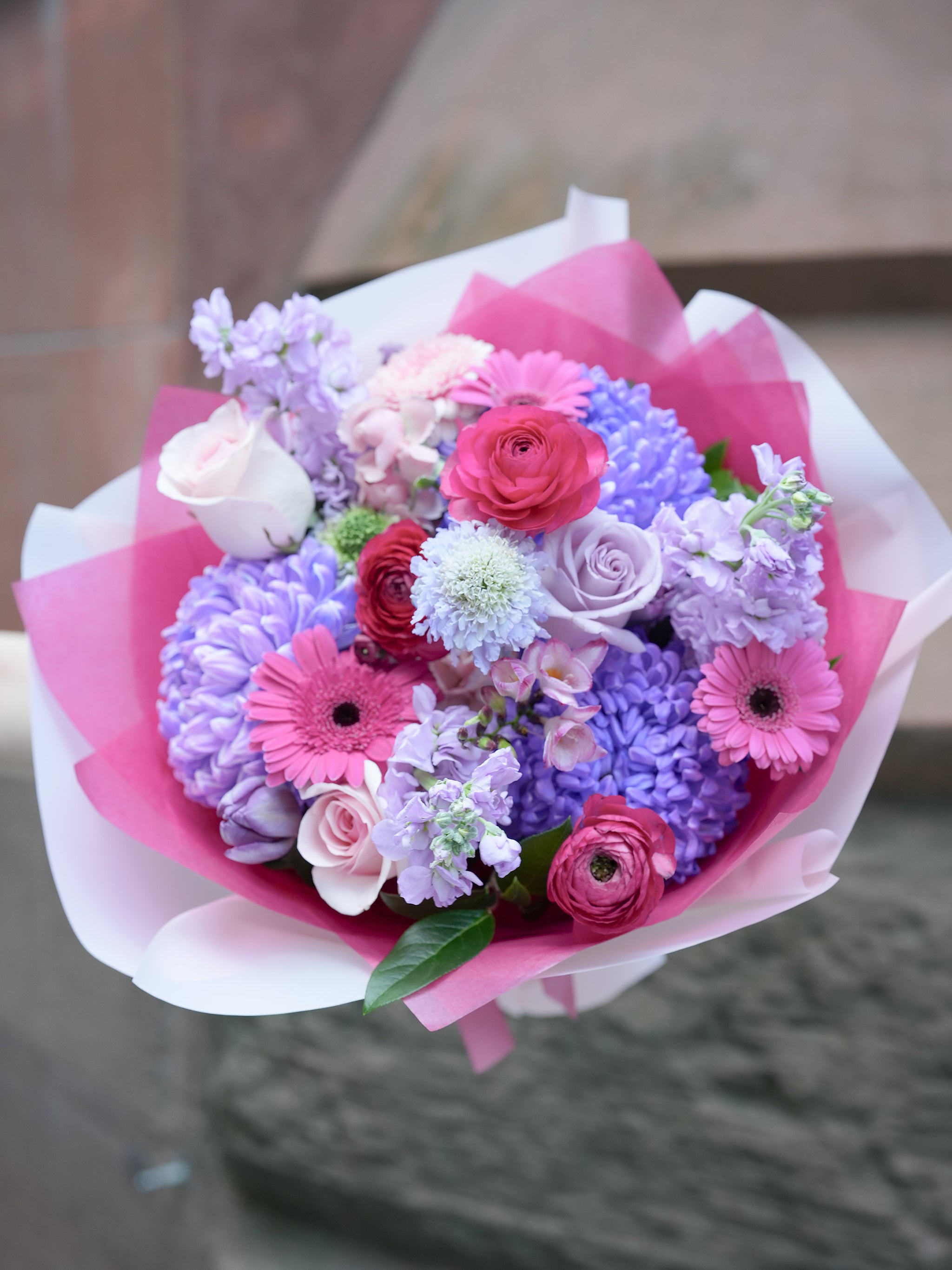 Vivid Berry Bloom
