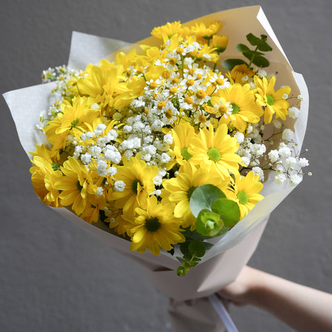 Daisy Daylight