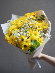 Daisy Daylight
