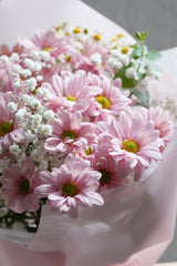 Daisy Daylight
