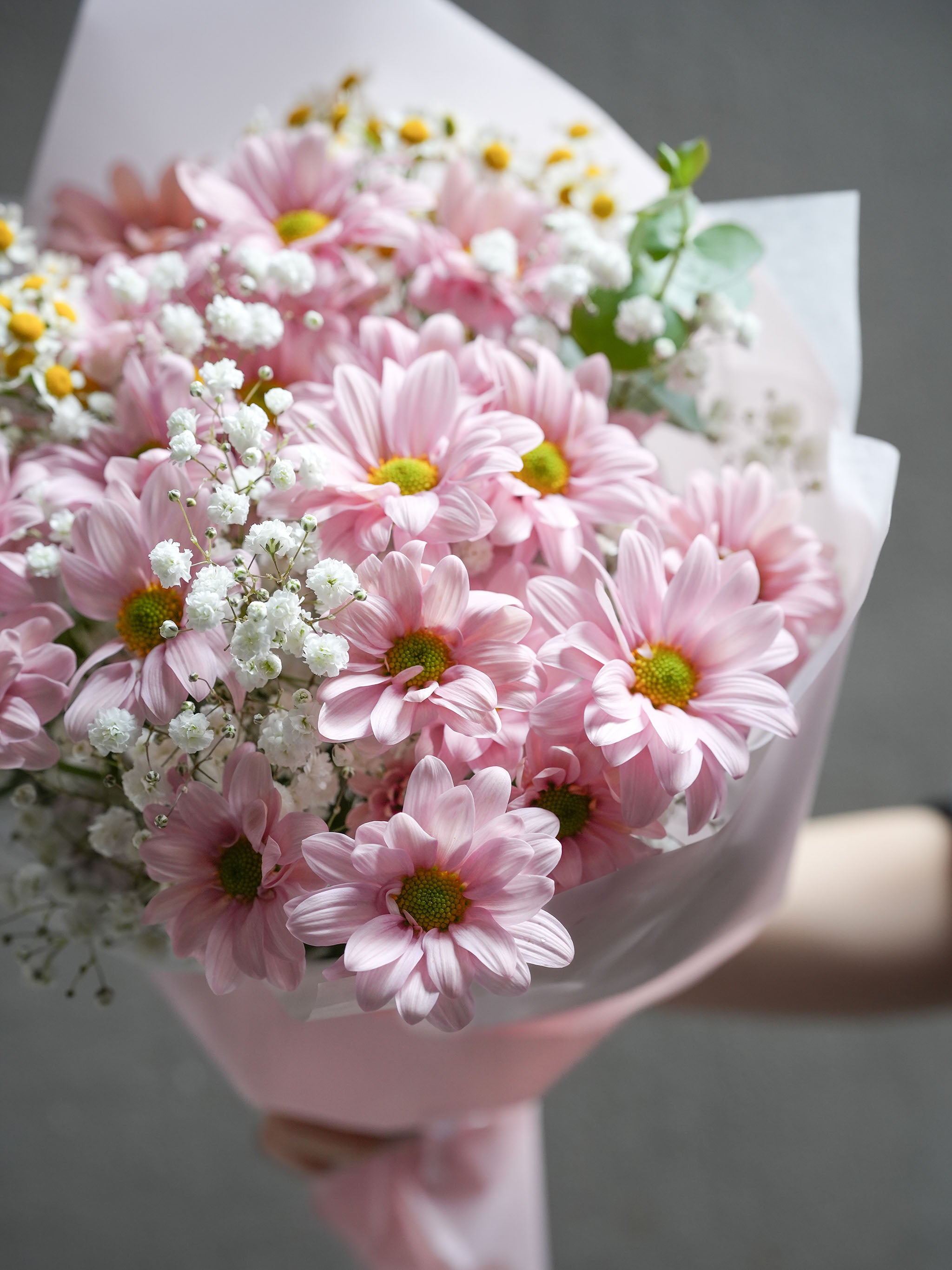 Daisy Daylight