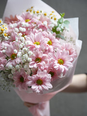 Daisy Daylight