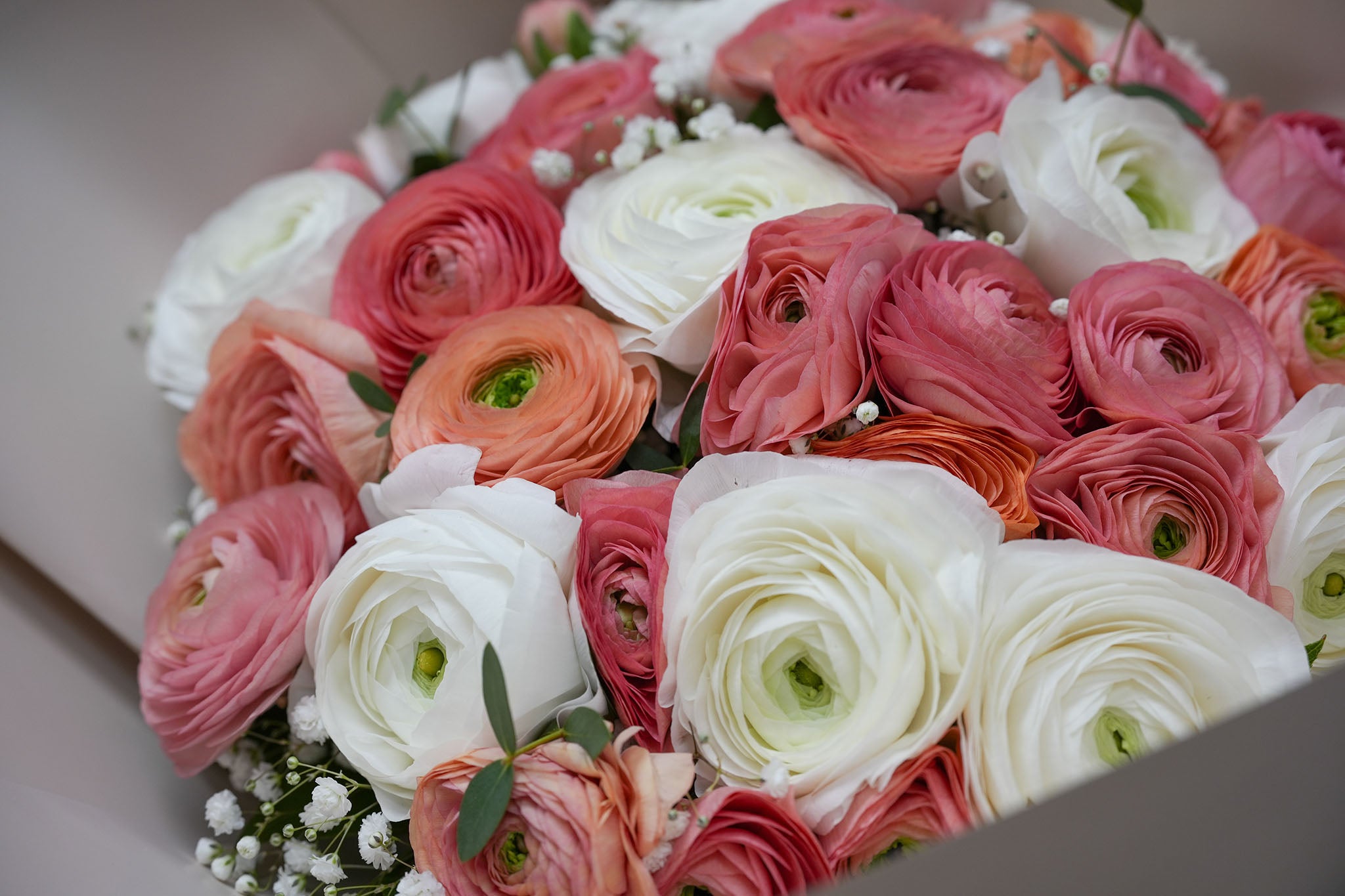 Coral & White Ranunculus Bouquet