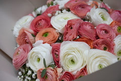 Coral & White Ranunculus Bouquet