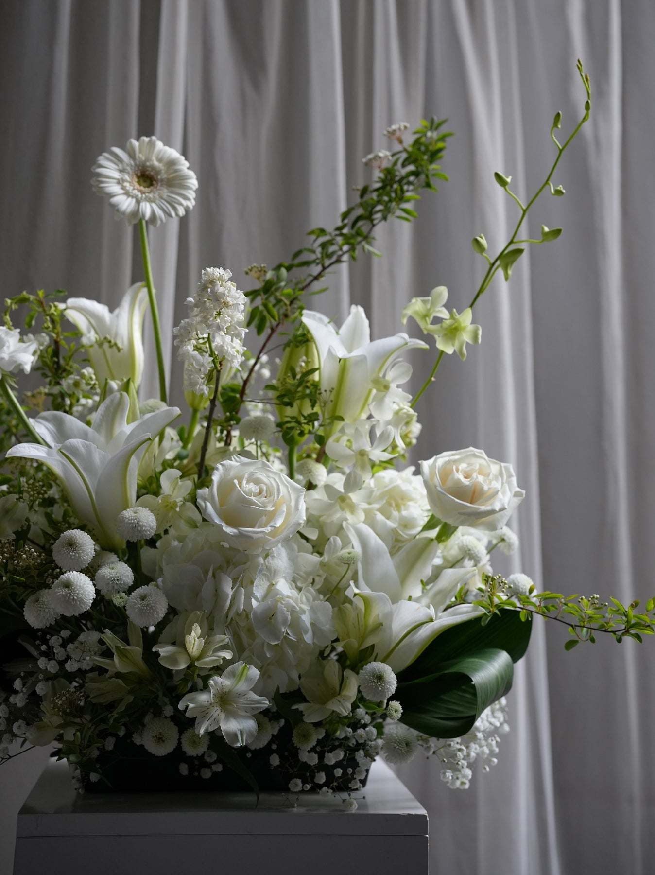 Elegance Blanc