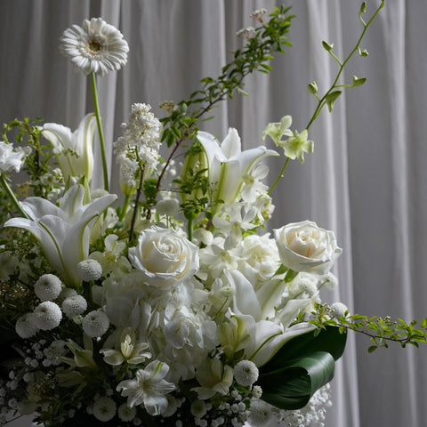 Elegance Blanc