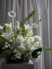 Elegance Blanc