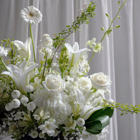 Elegance Blanc