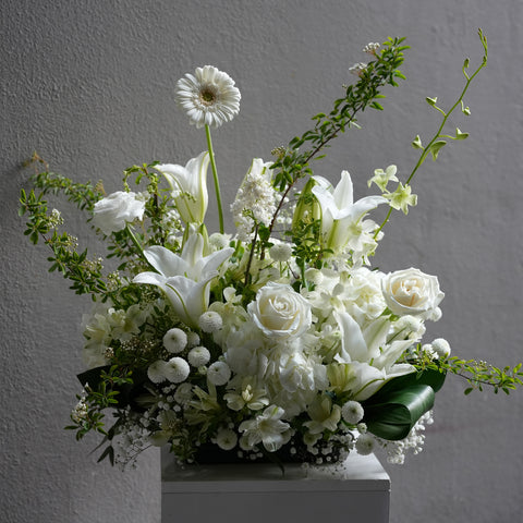 Elegance Blanc