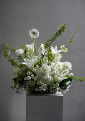 Elegance Blanc